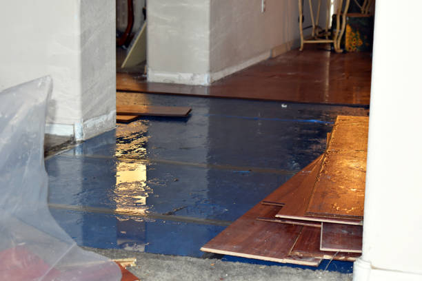 Professional Burst Pipe Cleanup technician working in Seabrook, SC